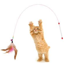 Load image into Gallery viewer, 1pc Cat Toy Stick Feather Wand With Bell Mouse Cage Toys Plastic Artificial Colorful Cat Teaser Toy Pet Supplies Random Color
